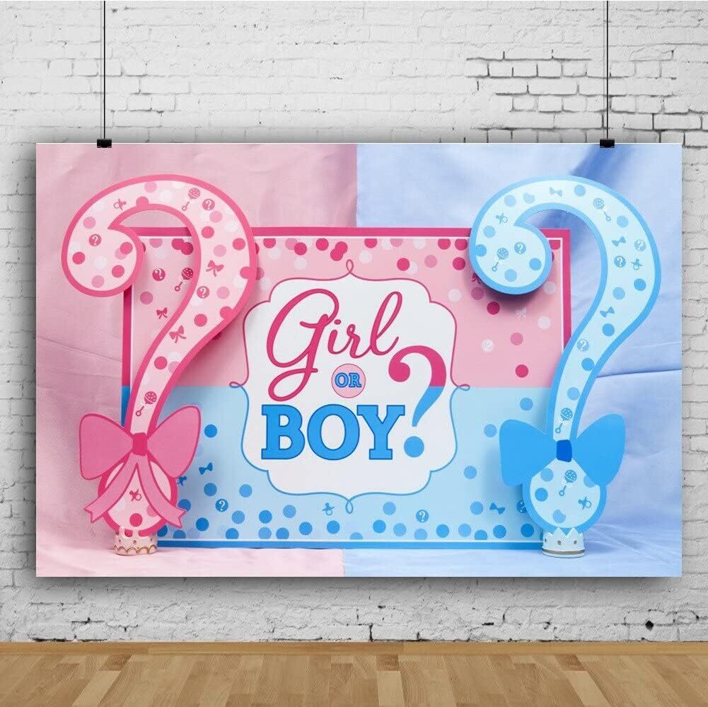 Banner Boy or Girl Gender Reveal Διάστασης  (97cm x 150cm) 4