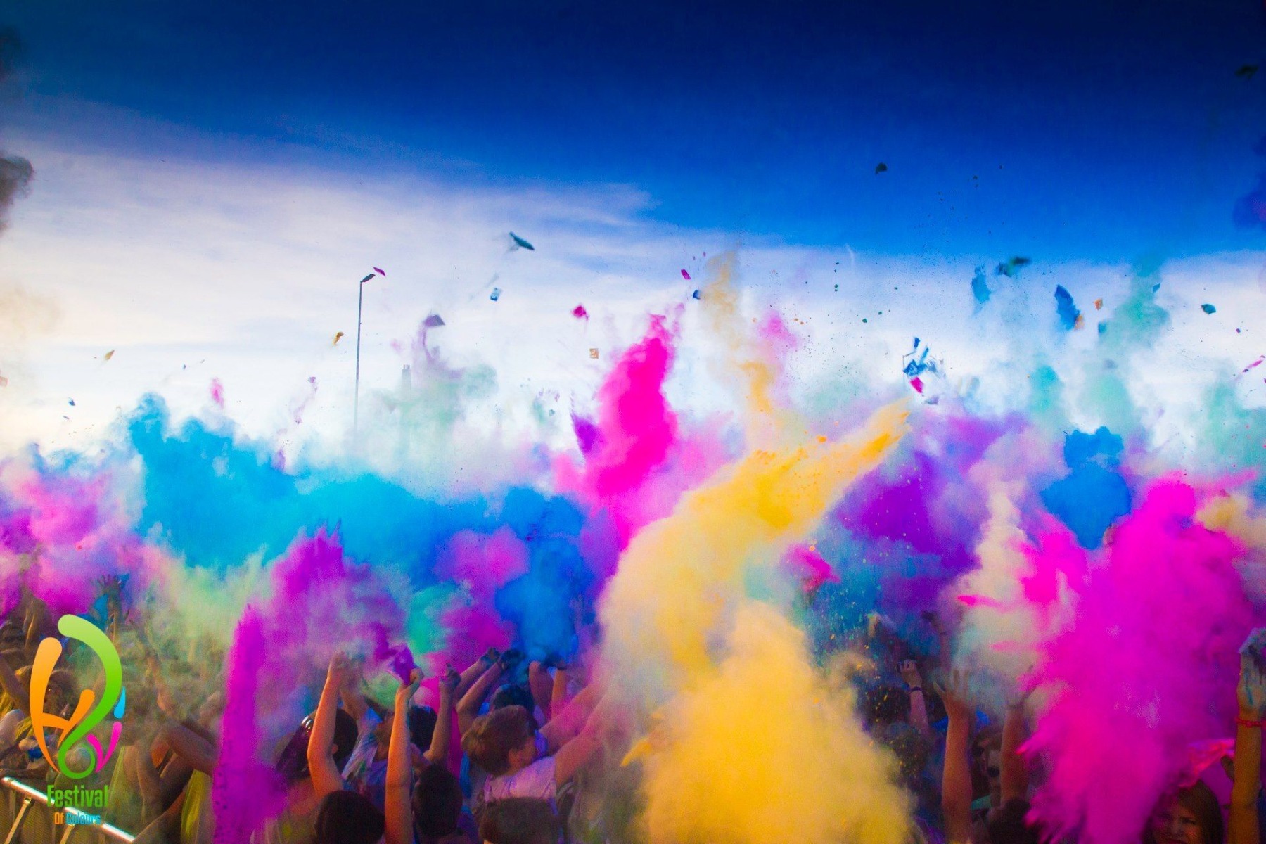 Color Powder (5 Kg Pack)