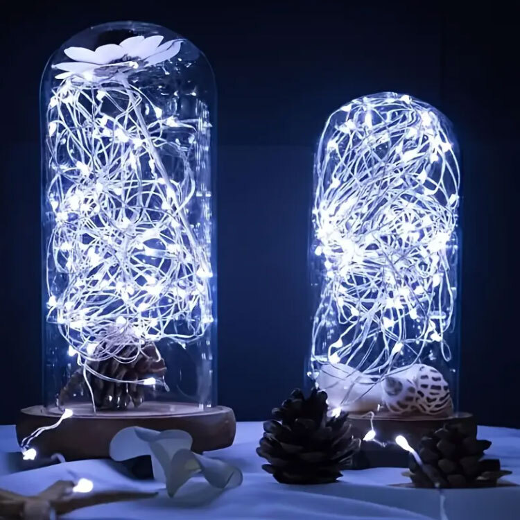 Led Φωτισμός Λευκός Ψυχρός - 2 Μέτρα με 20 Led 6