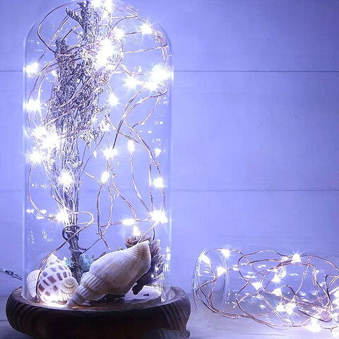 Led Φωτισμός Λευκός Ψυχρός - 2 Μέτρα με 20 Led