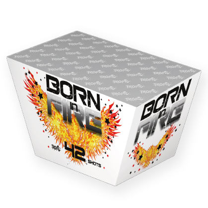 Πυροτεχνήματα 42 Βολών Βεντάλια TW15 Born in Fire White